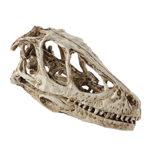 JECOMPRIS Dinosaurier-skelettmodell Skelette Miniatur Schädelmodell Schädeldekor Für Zu Hause Klein Wohnkultur Schädelverzierung Skelett Skelett- Harz Weiß JECOMPRIS Dinosaurier-skelettmodell Skelette Miniatur Schädelmodell Schädeldekor Für Zu Hause Klein Wohnkultur Schädelverzierung Skelett Skelett- Harz Weiß von JECOMPRIS