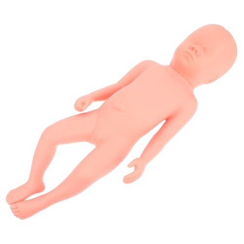 JECOMPRIS 40 Cm Pvc-fötusmodell Detaillierte Struktur Trainingshilfe Für Neugeborene Und Betreuer von JECOMPRIS
