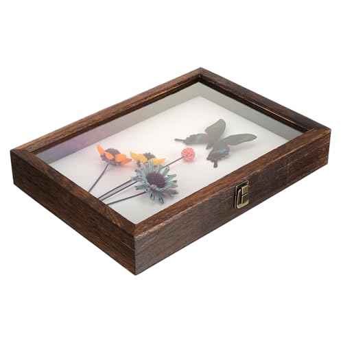 JECOMPRIS Muster Vitrine Museum Anzeige Sammlung Vitrine Rahmen Fall groß gehäuse Probenhalter Musterkoffer Probenbehälter Vitrine aus Holz Acryl JECOMPRIS Muster Vitrine Museum Anzeige Sammlung Vitrine Rahmen Fall groß gehäuse Probenhalter Musterkoffer Probenbehälter Vitrine aus Holz Acryl von JECOMPRIS