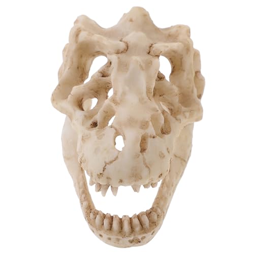 JECOMPRIS Reptilien-Dinosaurier-Schädelmodell aus Harz Skelett Schädelverzierung bücherregal dekoration buchregal dekoration Dinosaurier-Schädel-Dekorationen Dinosaurier-Schädel-Ornament JECOMPRIS Reptilien-Dinosaurier-Schädelmodell aus Harz Skelett Schädelverzierung bücherregal dekoration buchregal dekoration Dinosaurier-Schädel-Dekorationen Dinosaurier-Schädel-Ornament von JECOMPRIS
