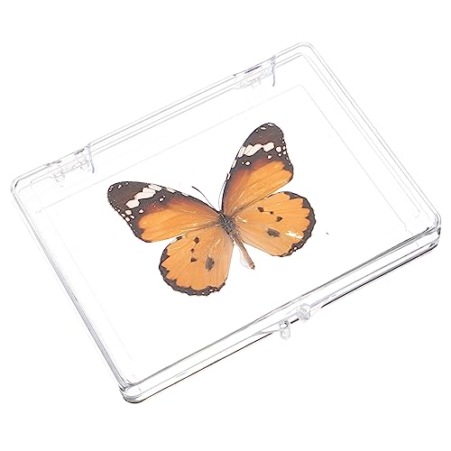 JECOMPRIS Schmetterlings-Exemplar Schmetterling Lebensraum Neonlicht Mädchenzimmer schmetterling party dekorationen insektenbox insekten box Desktop-Ornament Tischständer Plastik JECOMPRIS Schmetterlings-Exemplar Schmetterling Lebensraum Neonlicht Mädchenzimmer schmetterling party dekorationen insektenbox insekten box Desktop-Ornament Tischständer Plastik von JECOMPRIS