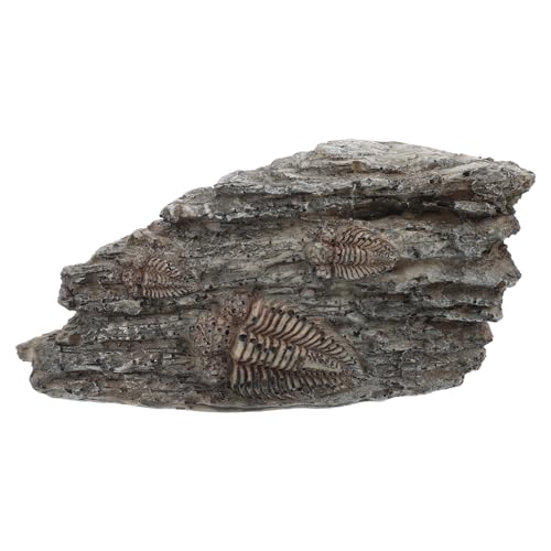 JECOMPRIS fossiles Exemplar fossile Sammlung Fossiles Terrarienornament sammeltassen sammlerstücke Tierspielzeug Kinderspielzeug Trilobiten- Paläontologisches Puzzle schmücken von JECOMPRIS