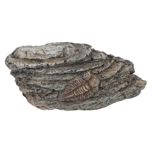 JECOMPRIS fossiles Exemplar sammeltassen Trilobit paläontologisches Exemplar Harz JECOMPRIS fossiles Exemplar sammeltassen Trilobit paläontologisches Exemplar Harz von JECOMPRIS