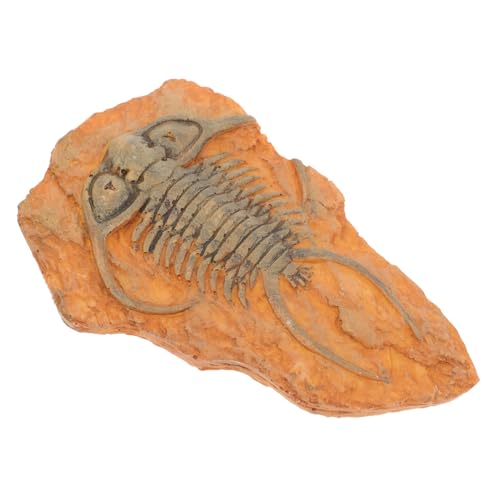 JECOMPRIS paläontologische Insektendekoration Fossilien-Insekten Insekten-Sammlung Dekorative Insekten-Fossilien Insektenexemplar Insekt für den naturwissenschaftlichen Unterricht Harz von JECOMPRIS