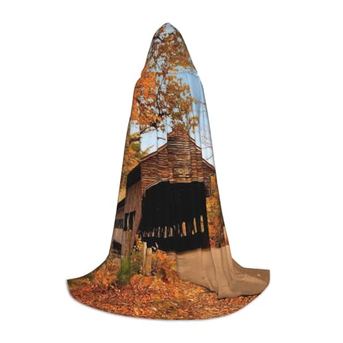 JEJEA Albany Überdachte Brücke Druck Halloween Cosplay Weihnachten Party Outfits Kapuze Zauberer Robe Halloween Umhang Mittelalter Renaissance von JEJEA