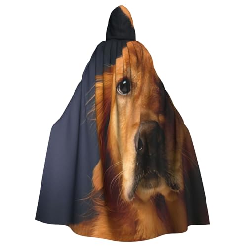 JEJEA Golden Retriever1 Druck Uni Kapuzenumhang Renaissance Kapuzenumhang voller langer Umhang für Halloween Cosplay Kostüme JEJEA Golden Retriever1 Druck Uni Kapuzenumhang Renaissance Kapuzenumhang voller langer Umhang für Halloween Cosplay Kostüme von JEJEA