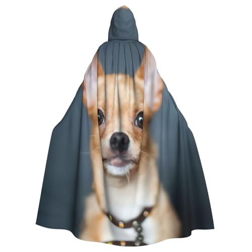 JEJEA Süßer Chihuahua-Druck, Uni, Kapuzenumhang, Renaissance, langer Umhang für Halloween, Cosplay-Kostüme JEJEA Süßer Chihuahua-Druck, Uni, Kapuzenumhang, Renaissance, langer Umhang für Halloween, Cosplay-Kostüme von JEJEA