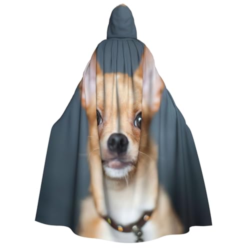 JEJEA Süßer Chihuahua-Umhang mit Kapuze, langer Umhang für Weihnachten, Halloween, Kostüme, Kapuzenumhang, Maskerade JEJEA Süßer Chihuahua-Umhang mit Kapuze, langer Umhang für Weihnachten, Halloween, Kostüme, Kapuzenumhang, Maskerade von JEJEA