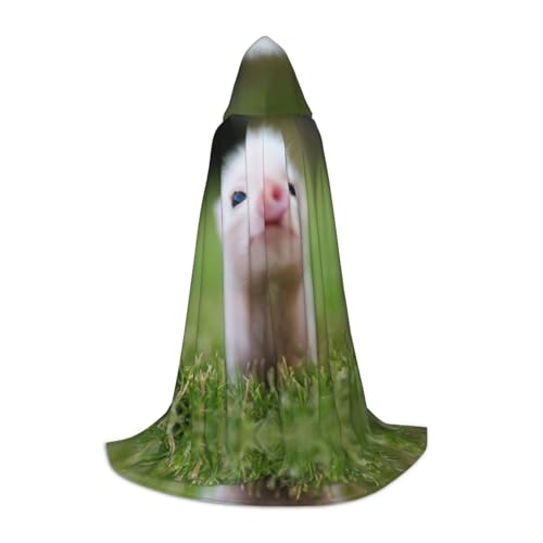 JEJEA Umhang mit Kapuze und Schweinemotiv, langer Umhang mit Kapuze, Hexenkostüm, Cosplay-Kostüme, Uni-Party-Umhang JEJEA Umhang mit Kapuze und Schweinemotiv, langer Umhang mit Kapuze, Hexenkostüm, Cosplay-Kostüme, Uni-Party-Umhang von JEJEA