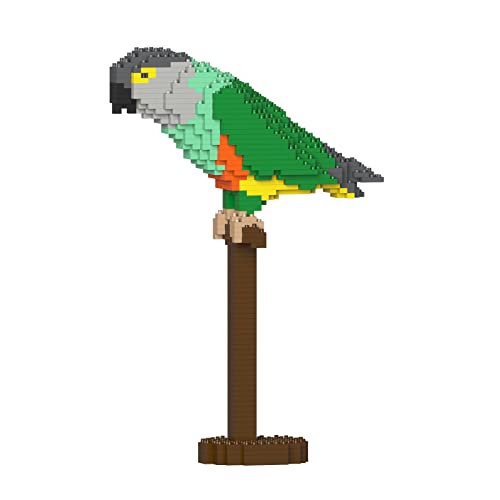 JECKA Animal Building Blocks for Kidults Senegal Parrot 01S JECKA Animal Building Blocks for Kidults Senegal Parrot 01S von JEKCA