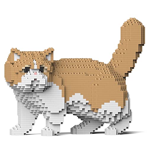 JEKCA Exotische Kurzhaarkatze 01S-M01 | Kunststoffbausteine | Ab 14 Jahren JEKCA Exotische Kurzhaarkatze 01S-M01 | Kunststoffbausteine | Ab 14 Jahren von JEKCA