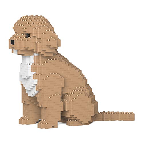 Jekca Cockapoo 01S-M01 von JEKCA