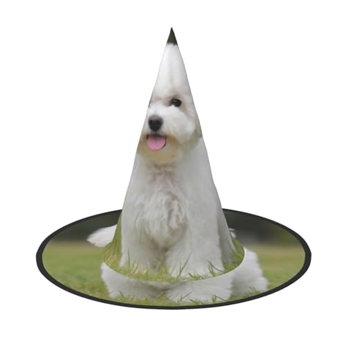 JEKYDOSD Bichon Frisé-Hunde-Druck, Halloween-Hut, gruseliges Party-Accessoire, Karneval, Maskerade-Bälle von JEKYDOSD