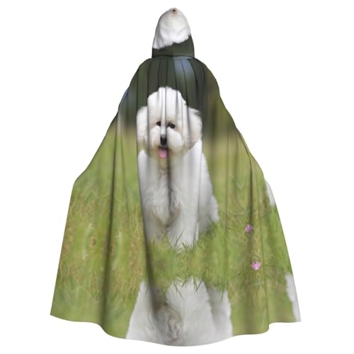 JEKYDOSD Kapuzenumhang mit Bichon Frisé-Motiv, für Erwachsene, perfekt für Halloween, Rollenspiele, Maskerade und Kostümpartys JEKYDOSD Kapuzenumhang mit Bichon Frisé-Motiv, für Erwachsene, perfekt für Halloween, Rollenspiele, Maskerade und Kostümpartys von JEKYDOSD