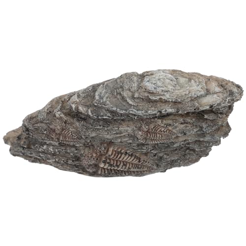 JEWEDECO Exquisite Trilobiten-Dekoration paläontologisches Exemplar Trilobiten-Ornament aus Kunstharz für die Inneneinrichtung von JEWEDECO