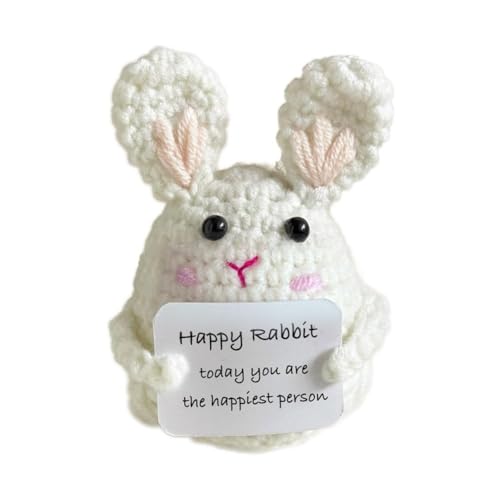 JHIALG Positive Doll Pocket Hug, Funny Easter Bunny Frosch Wool Knitting Doll with Positive Affirmation Luck Bunny Good Easter Card von JHIALG