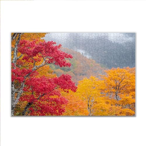 Puzzle Frühling Landschaft Klassische Puzzle 200 Teile Erwachsene, Holzpuzzle Erwachsene Anspruchsvoll, 2025 Impossible Puzzel Kunst Lernspiel, Schwer Wooden Jigsaw Set Ostern Geschenk Wohnkultur O-7 von JIANFREY