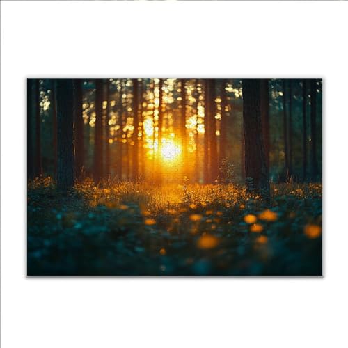 Puzzle Sonnenuntergang Wald Klassische Puzzle 500 Teile Erwachsene, Holzpuzzle Erwachsene Anspruchsvoll, 2025 Impossible Puzzel Kunst Lernspiel, Schwer Wooden Jigsaw Set Ostern Geschenk Wohnkultur J71 Puzzle Sonnenuntergang Wald Klassische Puzzle 500 Teile Erwachsene, Holzpuzzle Erwachsene Anspruchsvoll, 2025 Impossible Puzzel Kunst Lernspiel, Schwer Wooden Jigsaw Set Ostern Geschenk Wohnkultur J71 von JIANFREY