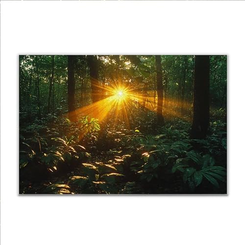 Puzzle Sonnenuntergang Wald Klassische Puzzle 5000 Teile Erwachsene, Holzpuzzle Erwachsene Anspruchsvoll, Impossible Puzzel Kunst Lernspiel, Schwer Wooden Jigsaw Set Ostern Geschenk Wohnkultur D-7 von JIANFREY