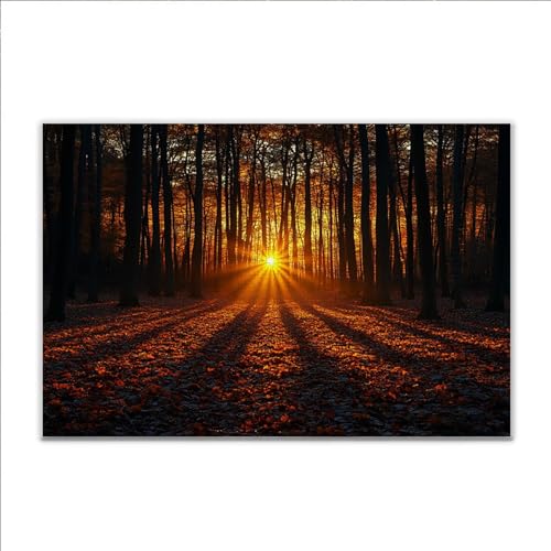 Puzzle Wald Sonnenuntergang Klassische Puzzle 5000 Teile Erwachsene, Holzpuzzle Erwachsene Anspruchsvoll, Impossible Puzzel Kunst Lernspiel, Schwer Wooden Jigsaw Set Ostern Geschenk Wohnkultur I-7 von JIANFREY