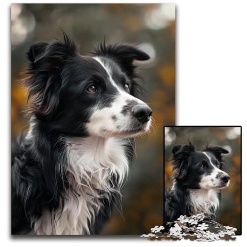 1000-teiliges Puzzle für Erwachsene, Border Collie, Kartonpuzzle, interaktives Familienspiel, geeignet für Kinder ab 14 Jahren, 26x38cm von JIANGENNF