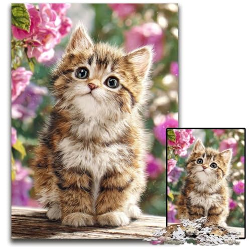 1000-teiliges Puzzle für Erwachsene, Kätzchen, Holzpuzzle für Erwachsene, Lernspiel, Herausforderungsspielzeug für Erwachsene Teenager, 50x75cm von JIANGENNF