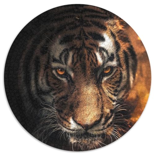 Puzzle 1000 Teile, Funkelnder Tiger, 1000-teiliges rundes Puzzle, Spiel für Erwachsene, Geschenk, interaktives Familienspiel, Gehirn-Herausforderungsgeschenk (Größe 67,5 x 67,5 cm) von JIANGENNF