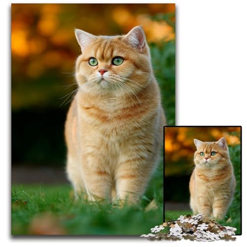 Puzzle 1000 Teile Orange Cat Holzpuzzle Lernspiele Stressabbau, Heimdekorationsspielzeug für 14-Jährige 50X75CM von JIANGENNF