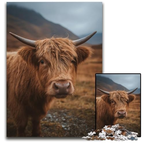 Puzzle für Erwachsene, 1000 Teile, Highland Cow, Kartonpuzzle, Lernspielzeug, ganze Familie, ab 14 Jahren, 26x38cm Puzzle für Erwachsene, 1000 Teile, Highland Cow, Kartonpuzzle, Lernspielzeug, ganze Familie, ab 14 Jahren, 26x38cm von JIANGENNF