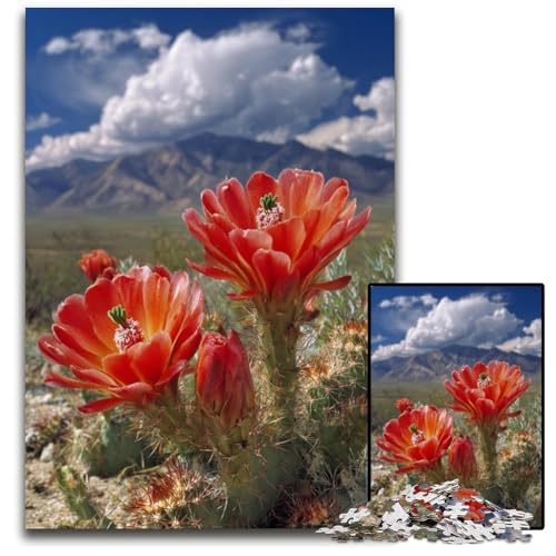 Puzzle für Erwachsene, 1000 Teile, Highland Poppy, Kartonpuzzle, Lernspielzeug, ganze Familie, ab 14 Jahren, 26x38cm Puzzle für Erwachsene, 1000 Teile, Highland Poppy, Kartonpuzzle, Lernspielzeug, ganze Familie, ab 14 Jahren, 26x38cm von JIANGENNF