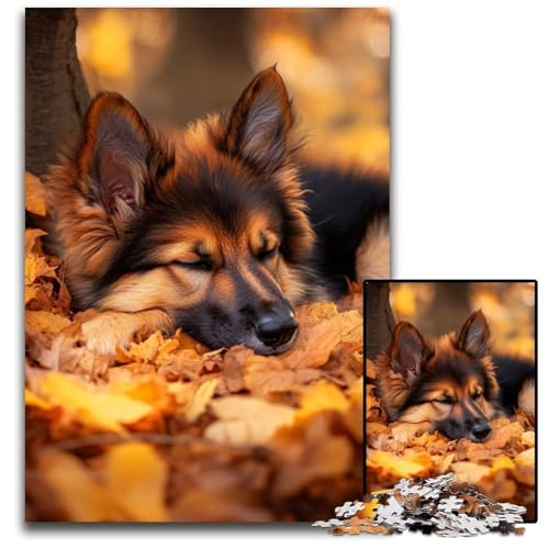 Puzzle für Erwachsene, 1000 Teile, Schäferhund im Laub, Lernspielzeug, ganze Familie, ab 14 Jahren, 50x75cm Puzzle für Erwachsene, 1000 Teile, Schäferhund im Laub, Lernspielzeug, ganze Familie, ab 14 Jahren, 50x75cm von JIANGENNF