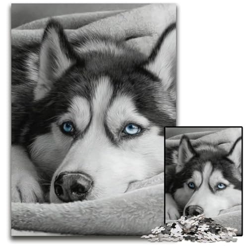 Puzzle für Erwachsene, 1000 Teile, schlafender Husky, Papppuzzle, Spielzeug, Geschenk, pädagogisches, intellektuelles, entspannendes Familienspiel, 26x38cm von JIANGENNF