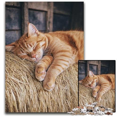Puzzle für Erwachsene, 1000-teiliges Puzzle mit schlafender Katze, anspruchsvolles Spielspielzeug, einzigartige Geburtstags- und Geschenkideen für Kinder ab 14 Jahren, 50x75cm von JIANGENNF