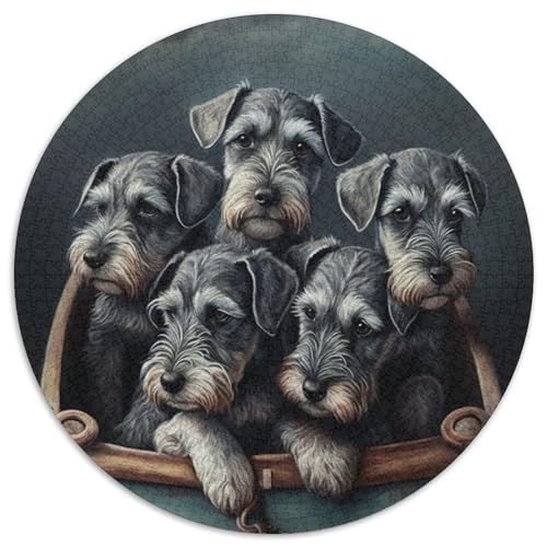 Schnauzer-Welpen-Puzzle 1000 Teile für Erwachsene, 1000-teiliges rundes Puzzle für Erwachsene, Lernspielzeug für Teenager, Heim- und Bürodekoration (Größe 67,5 x 67,5 cm) von JIANGENNF