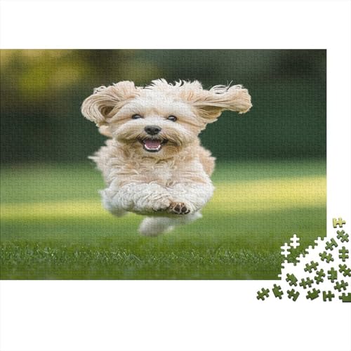 Shih Tzu. Puzzle 1000 Teile Puzzle Für Erwachsene Und Kinder Ab 14 Jahren Puzzel 1000pcs (75x50cm) von JIANQIANG