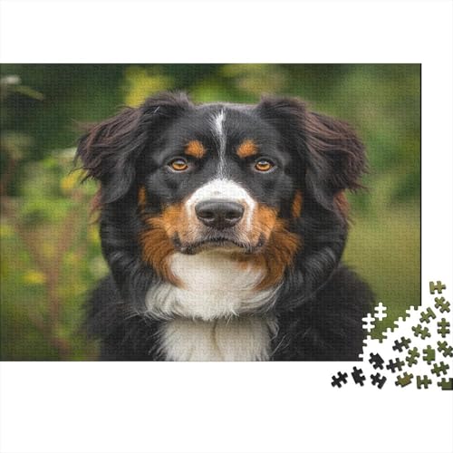 Springer Spaniel Puzzle 1000 Teile,Puzzle Für Erwachsene, Impossible Puzzle, Geschicklichkeitsspiel Für Die Ganze Familie,Puzzle Farbenfrohes,Puzzle-Geschenk,Raumdekoration Puzzel 1000pcs (75x50cm) von JIANQIANG