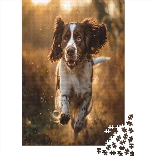 Springer Spaniel Puzzle 1000 Teile Für Erwachsene Und Kinder Ab 14 Jahren Für Stressabbauer Puzzel 1000pcs (75x50cm) von JIANQIANG