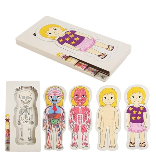 JIEBWCHA Körper Puzzles Für Kinder | Holz Anatomie Puzzle Für Kleinkinder - Lernspiel Körperwissen Aktivität Für Kinderzimmer Wohnzimmer Kindergarten JIEBWCHA Körper Puzzles Für Kinder | Holz Anatomie Puzzle Für Kleinkinder - Lernspiel Körperwissen Aktivität Für Kinderzimmer Wohnzimmer Kindergarten von JIEBWCHA