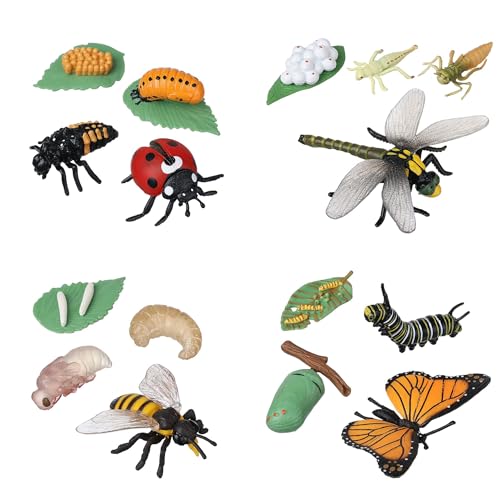 JIIENO 16 Stück Insektenspielzeug Lebenszyklus von Schmetterling, Honigbiene, Libelle & Marienkäfer Bug Figuren Spielzeug, frühes pädagogisches Spielzeug Weihnachten für Kinder JIIENO 16 Stück Insektenspielzeug Lebenszyklus von Schmetterling, Honigbiene, Libelle & Marienkäfer Bug Figuren Spielzeug, frühes pädagogisches Spielzeug Weihnachten für Kinder von JIIENO