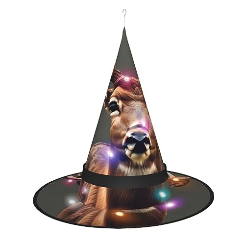 JIPOFD Hexenhüte für Damen, für Halloween, Party, Maskerade, Cosplay, Kostüm, Zubehör und den täglichen Urlaub von JIPOFD