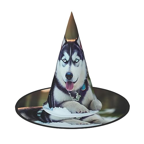 JIPOFD Husky Hund Halloween Hexenkostüm Zubehör Spitzkappe Hexenhut Faltbare Halloween Hüte 2 Stück von JIPOFD