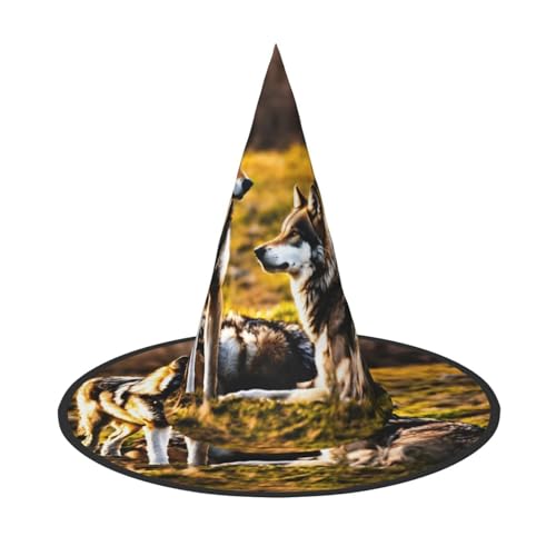 JIPOFD Wolfs Halloween Hexenkostüm Zubehör Spitzkappe Hexenhut Faltbare Halloween Hüte 2 Stück von JIPOFD
