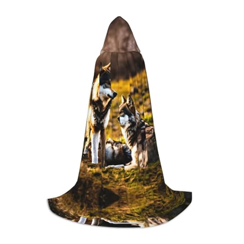 JIPOFD Wolfs Kapuzenumhang, langer Umhang für Halloween-Umhang, Kostüme, Kapuzenumhang, Maskerade, Kostüm von JIPOFD