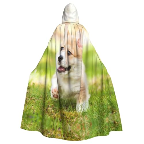 JIUTY Corgi Welpen-Druck, Maskerade für Erwachsene, wirtschaftlicher Kapuzenumhang, 140 cm lang, perfekt für Halloween-Partys, Tänze von JIUTY