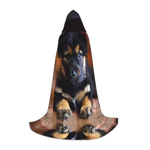 JIUTY Hunde-Kapuzenmantel für Welpen, Halloween, Cosplay, Party-Requisiten, Kapuzenumhang, Karnevals-Zubehör für Party JIUTY Hunde-Kapuzenmantel für Welpen, Halloween, Cosplay, Party-Requisiten, Kapuzenumhang, Karnevals-Zubehör für Party von JIUTY