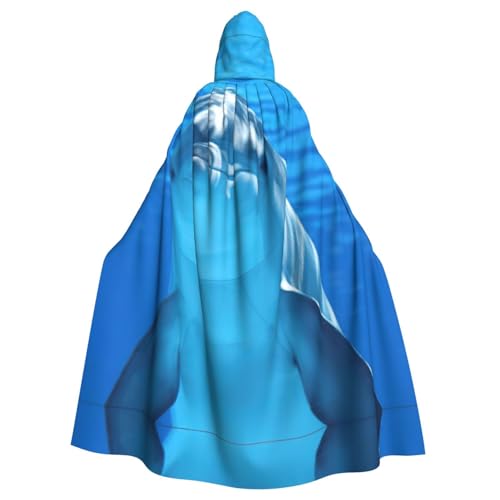 JIUTY Maskerade mit Delphin mit einem Lächeln, für Erwachsene, wirtschaftlicher Kapuzenumhang, 140 cm lang, perfekt für Halloween-Partys, Tänze JIUTY Maskerade mit Delphin mit einem Lächeln, für Erwachsene, wirtschaftlicher Kapuzenumhang, 140 cm lang, perfekt für Halloween-Partys, Tänze von JIUTY