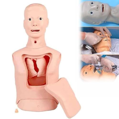 Intubations-Magensondenmodell, multifunktionales Trainingsmodell, fortgeschrittenes Nasensonden- und Trachealpflegemodell, Magenspülungs-Tracheostomiemodell für Krankenpfleger und Medizinstudenten von JIYIHENKEAI