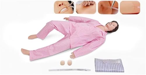 Medizinische Schaufensterpuppe für das Training, menschliche CPR-Manikins, hochsimulierte medizinische Patientenpflegepuppe mit 3 Muskelmodulen und Patientenkittel und Harnröhre für die Unterrichtspra von JIYIHENKEAI