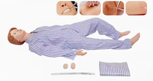 Medizinische Schaufensterpuppe für das Training, menschliche CPR-Manikins, hochsimulierte medizinische Patientenpflegepuppe mit 3 Muskelmodulen und Patientenkittel und Harnröhre für die Unterrichtspra von JIYIHENKEAI
