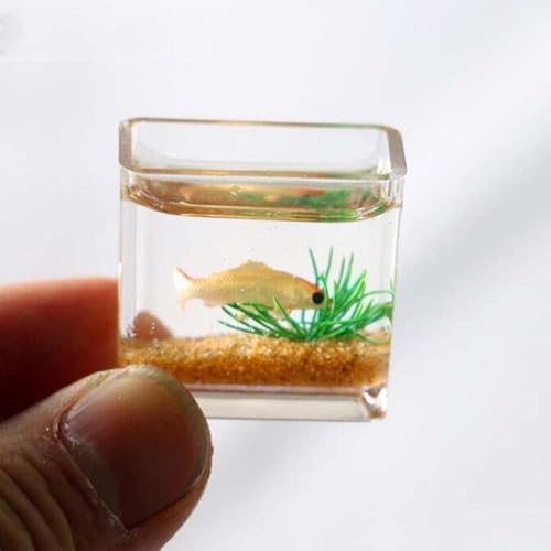 1 x quadratisches Puppenhaus-Miniatur-Aquarium, Puppenhaus-Mini-Glas-Aquarium-Modell, Miniatur-Fischschalen-Szenenmodell, Puppenhaus-Dekoration, Spielzeug, Puppenhaus-Zubehör von JIzian